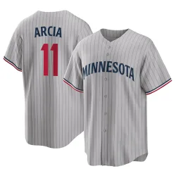 Minnesota Twins Orlando Arcia Gray Replica Youth Road Player Jersey